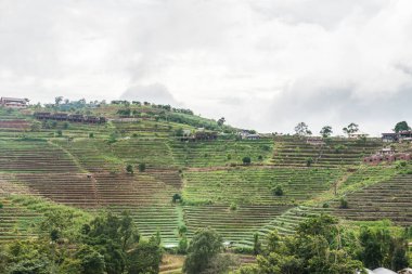 Mon Jam 'in Tayland' daki dağ manzarası.