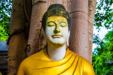 Darabhirom Ormanı Manastırı, Tayland 'daki Buda Staue..