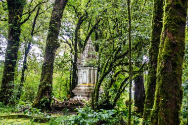 Doi Inthanon Ulusal Parkı 'ndaki Kral Inthanon Anıt Tapınağı, Tayland.