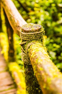 Doi Inthanon Ulusal Parkı 'ndaki ahşap korkuluklar, Tayland.