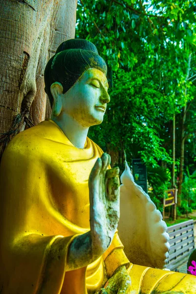 Estátua Buda Mosteiro Floresta Darabhirom Tailândia — Fotografia de Stock