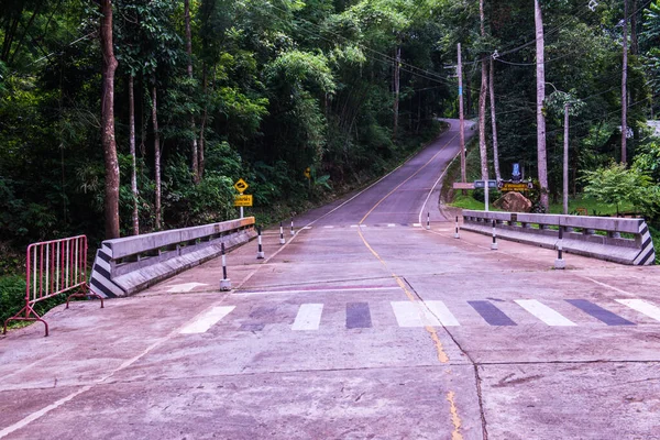 Tayland 'daki dağda küçük bir yol.