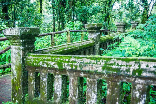 Alter Betonzaun Doi Inthanon Nationalpark Thailand — Stockfoto