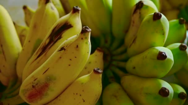 タイのナムワバナナは栄養価の高い果物です — ストック動画