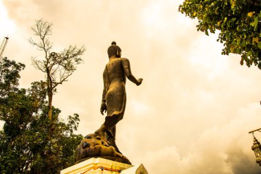 Phra 'da ayakta duran güzel Buda Phu Khao tapınağı, Tayland.