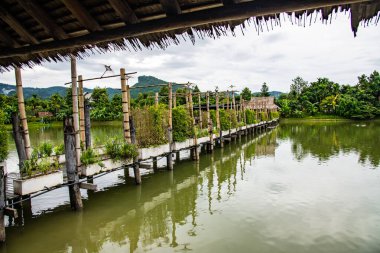 Tayland 'ın Chiang Rai eyaletinde güzel bir park..
