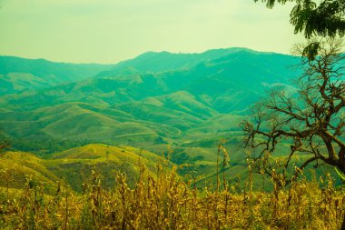 Tayland 'ın Phayao eyaletindeki dağ manzarası.