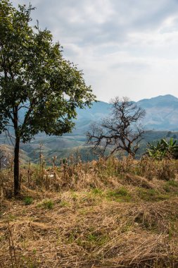 Tayland 'ın Phayao eyaletindeki dağ manzarası.
