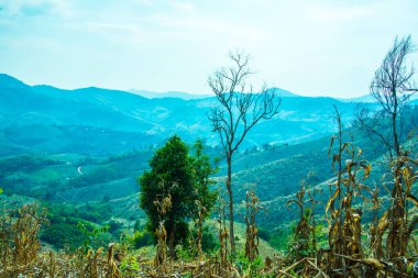 Tayland 'ın Phayao eyaletindeki dağ manzarası.