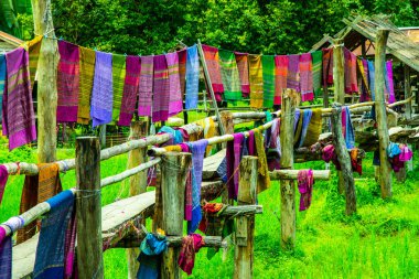 Tayland 'ın Pua bölgesinde küçük köprüsü olan pirinç tarlası..