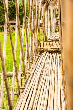 Tayland 'ın Pua bölgesinde pirinç tarlası olan küçük bir köprü..