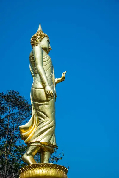 Statue Bouddha Doré Temple Phra Khao Noi Thaïlande — Photo