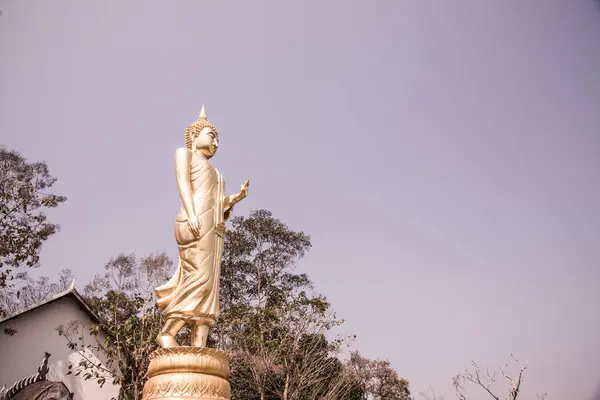 Walking Gyldne Buddha Statue Phra Khao Noi Tempel Thailand - Stock-foto