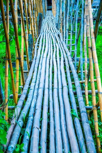 Kleine Brücke Mit Reisfeld Thailand — Stockfoto