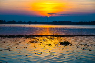 Sabah Kwan Phayao Gölü, Tayland.