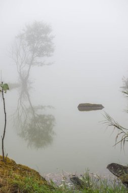 Tayland 'da sisli göl manzarası.