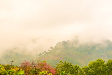 Tayland, Tayland 'da dağ manzarası.