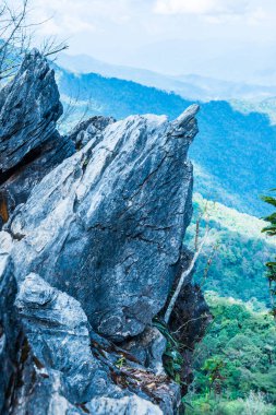 Chiangrai, Tayland 'da Doi Pha Tang' da Manzara Noktası.