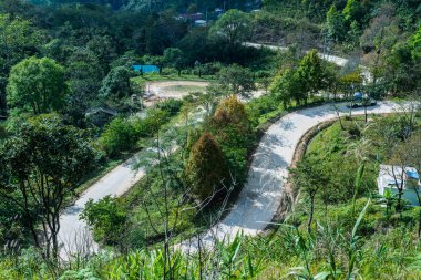 Chiangrai, Tayland 'da Doi Pha Tang yolu..