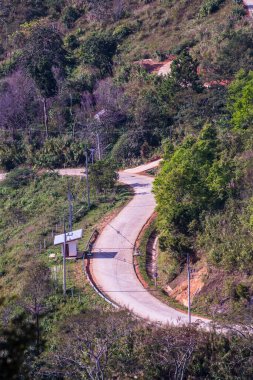 Chiangrai, Tayland 'da Doi Pha Tang yolu..