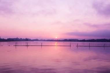 Sabah Kwan Phayao Gölü, Tayland.