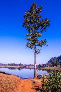 Tayland 'ın Chiangmai eyaletinde göl manzarası.