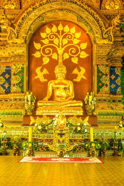 Prayodkhunpol 'deki güzel Buda heykeli Wiang Kalong Tapınağı, Tayland.