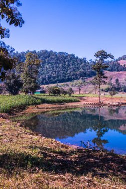 Tayland 'ın Chiangmai eyaletinde göl manzarası.