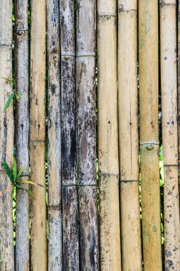 Bambu çit arka planı, Tayland.