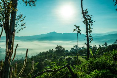 Phu Langka Ulusal Parkı, Tayland Güzel Dağ Manzarası.