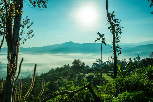 Phu Langka Ulusal Parkı, Tayland Güzel Dağ Manzarası.
