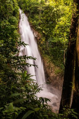 Khunkorn Şelalesi, Tayland, Chiang Rai bölgesinde..