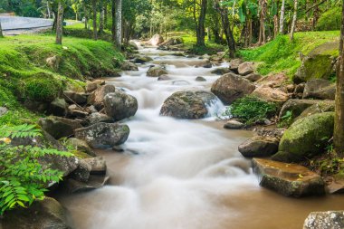 Su, Tayland 'ın Chiang Rai ilindeki Khunkorn şelalesinde akıyor..