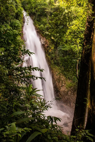 Khunkorn Wasserfall Der Provinz Chiang Rai Thailand — Stockfoto