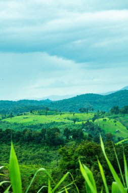 Tayland 'ın Phayao eyaletindeki dağ manzarası.