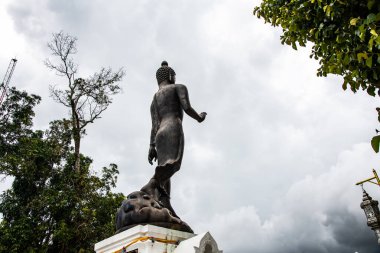 Phra 'da ayakta duran güzel Buda Phu Khao tapınağı, Tayland.