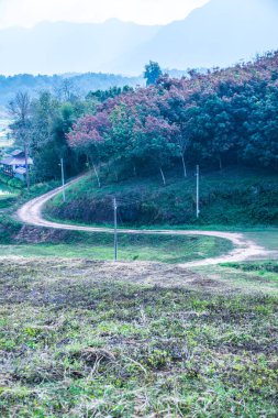 Tayland kırsallı Laterite Yolu, Tayland.