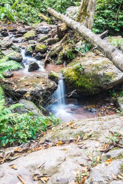 Champa Tanga Şelalesi 'nde küçük bir dere, Tayland.