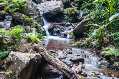Champa Tanga Şelalesinde Su Akıyor, Tayland.
