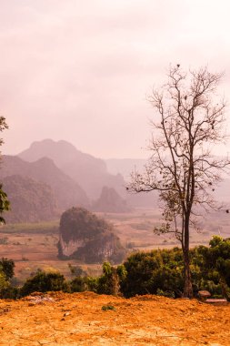 Phu Langka Ulusal Parkı, Tayland Güzel Manzarası.