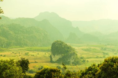 Phu Langka Ulusal Parkı, Tayland Güzel Manzarası.