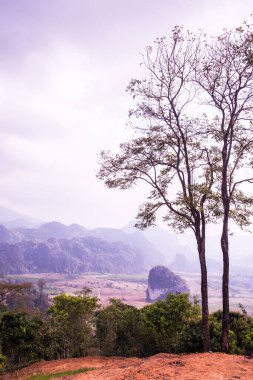 Phu Langka Ulusal Parkı, Tayland Güzel Manzarası.
