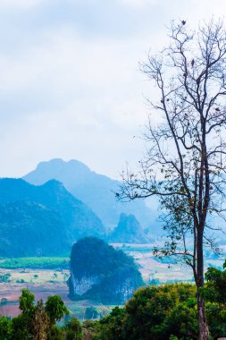 Phu Langka Ulusal Parkı, Tayland Güzel Manzarası.
