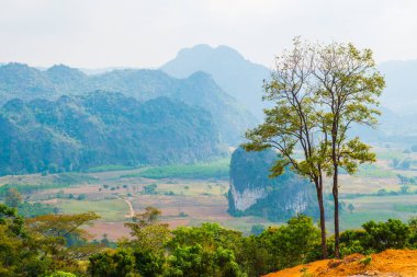 Phu Langka Ulusal Parkı, Tayland Güzel Manzarası.