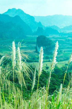 Phu Langka Ulusal Parkı, Tayland Güzel Manzarası.