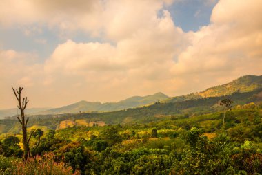 Tayland Phu Langka Ulusal Parkı 'nda güzel bir manzara..