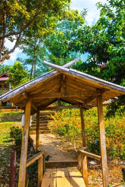 Tayland 'da parkta küçük bir dinlenme evi..