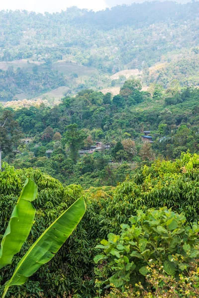 Phu Langka Ulusal Parkı, Tayland Yerel Köyü.