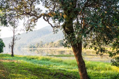 Tayland 'ın Chiangmai ilindeki Huay Tueng Tao gölünün manzara manzarası.