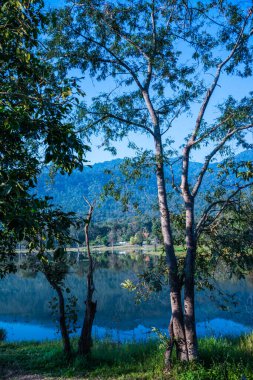 Tayland 'ın Chiangmai ilindeki Huay Tueng Tao gölünün manzara manzarası.